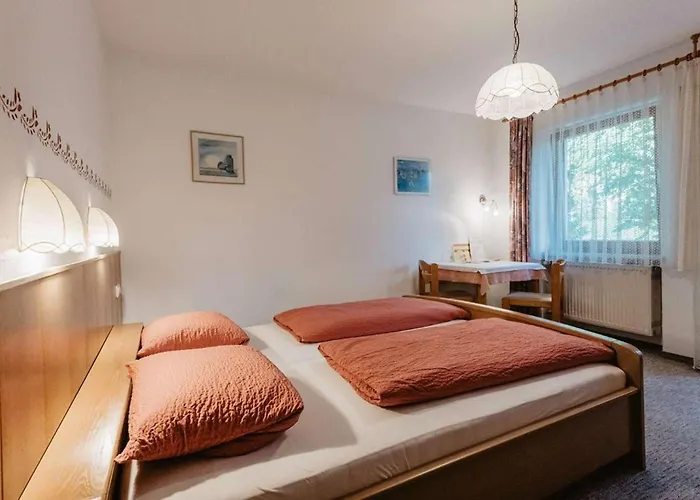 Schwaiger 3*
